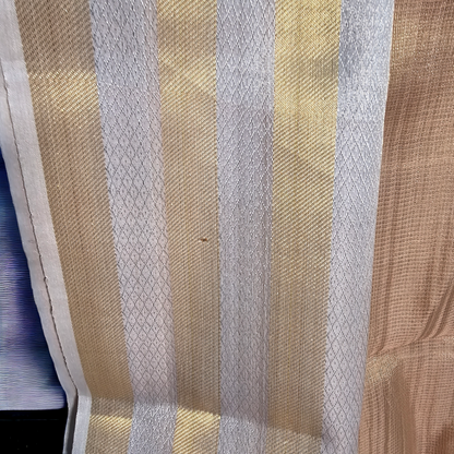 Golden beige tusser tissue saree from chattisgarh handloom .